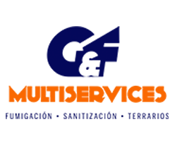 GF Multiservices