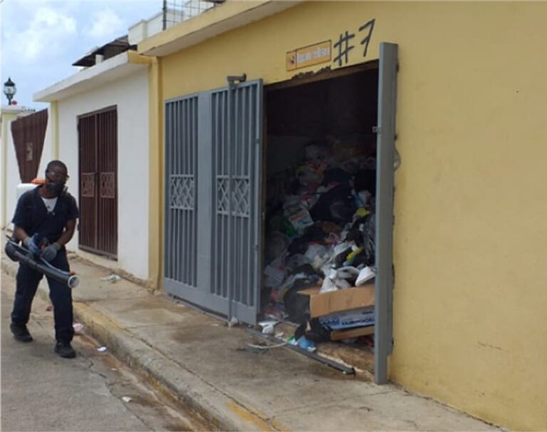 Control de plagas (Fumigación)