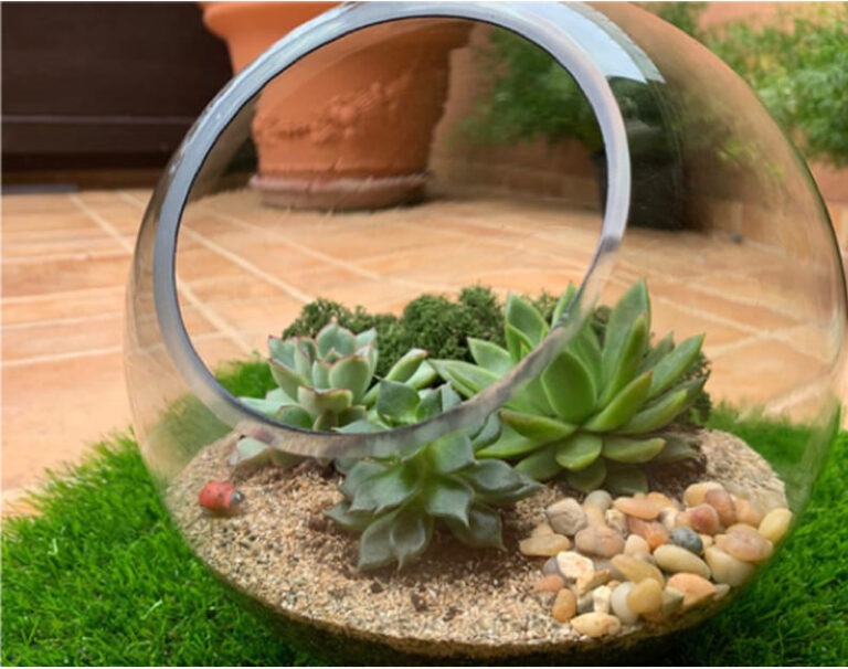 Control de plagas (Plantas)