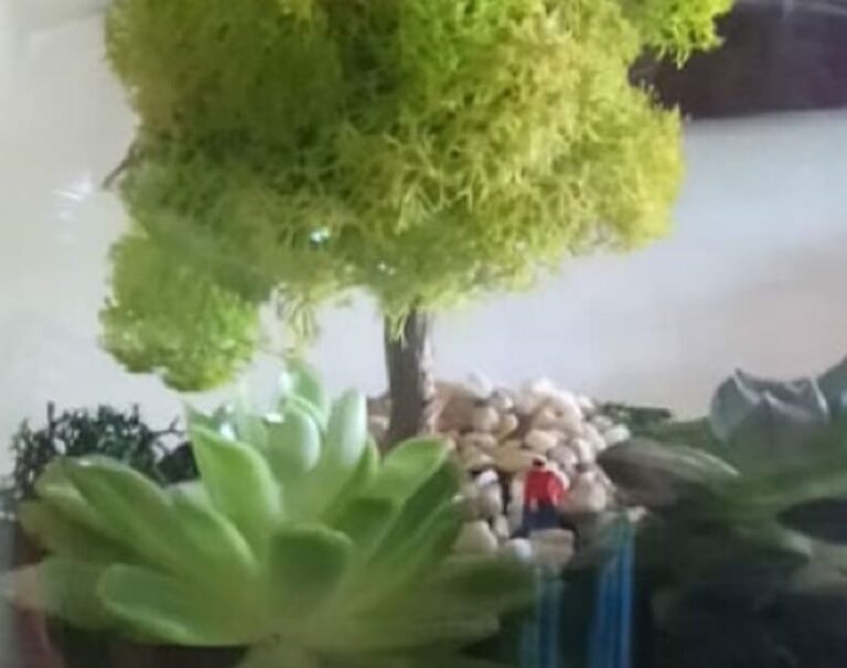 Control de plagas (Fumigación)