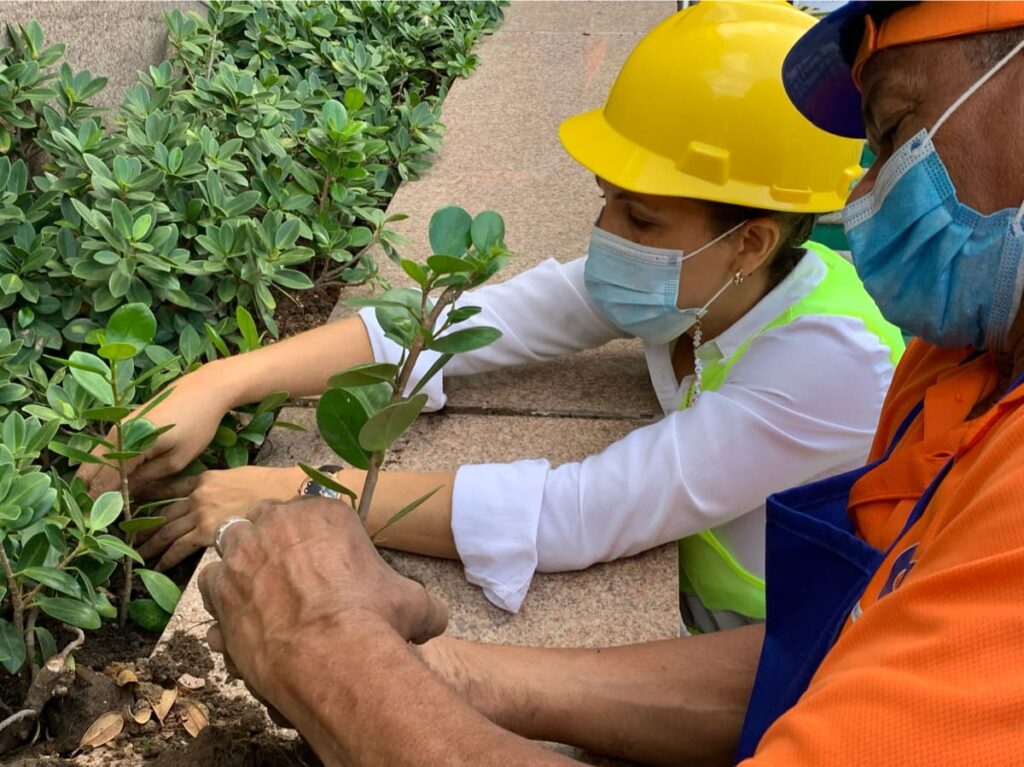 Control de plagas (Fumigación)